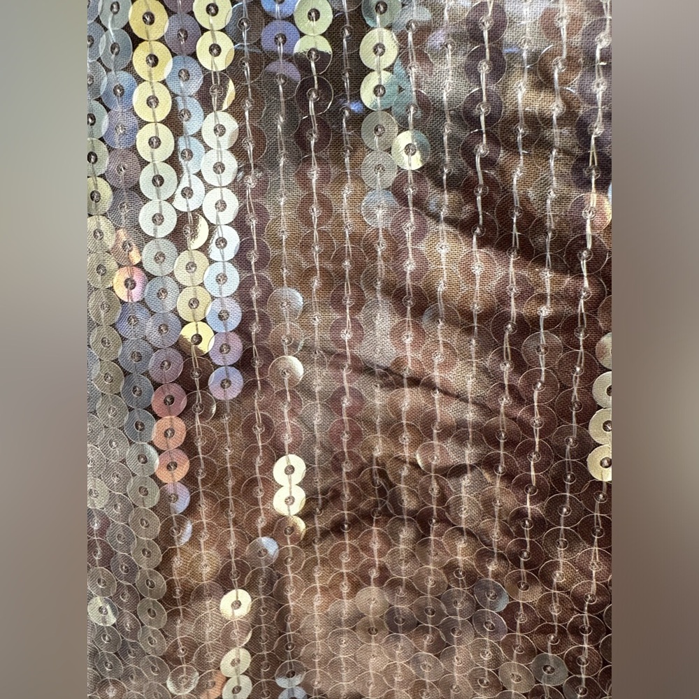 Pilcro Metallic Sequin Blouse in Silver and Black - Picture 9 of 14